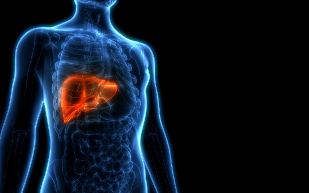 #88 How Can Your Liver Be Associated With Weight Gain?