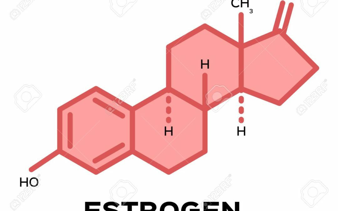 Chiropractic West Bend WI Estrogen Is Normal But Still Have Problems