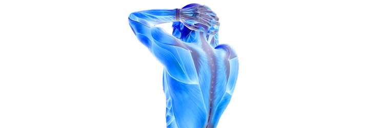 Chiropractic West Bend WI Fibromyalgia