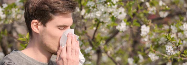 Chiropractic West Bend WI Allergies Asthma Sinus Problems